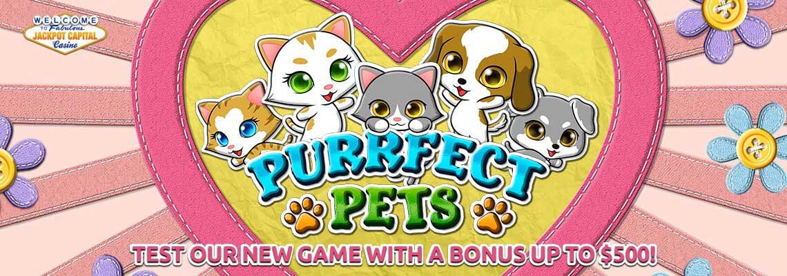 New Game Purrfect Pets Intro