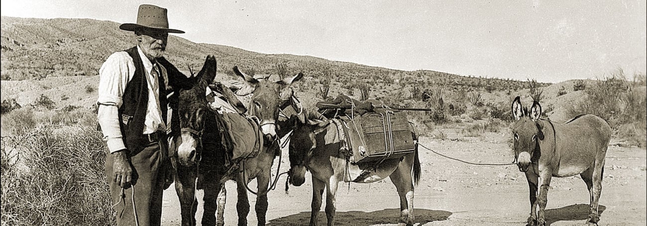 vintage black and white picture of a gold prospector in the bone dry desert with his donkeys