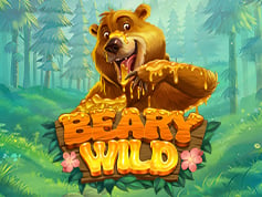 Beary Wild Online Slot Game Screen