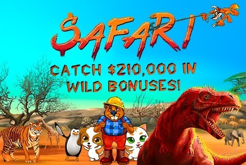 Safari Bonuses Intro