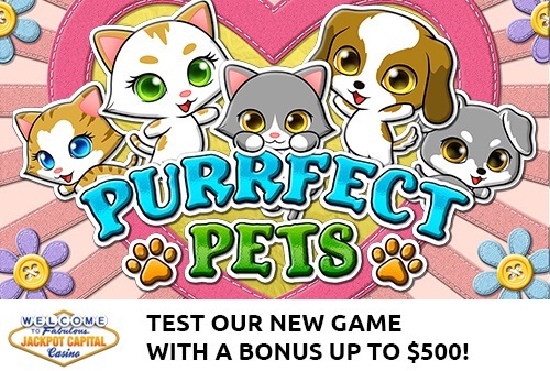 New Game Purrfect Pets Intro