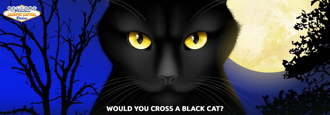 Did you know that, apart from being the month to host Halloween, October is also the Black Cat Awareness month? Join us on the blog, find out more & start spinning!  