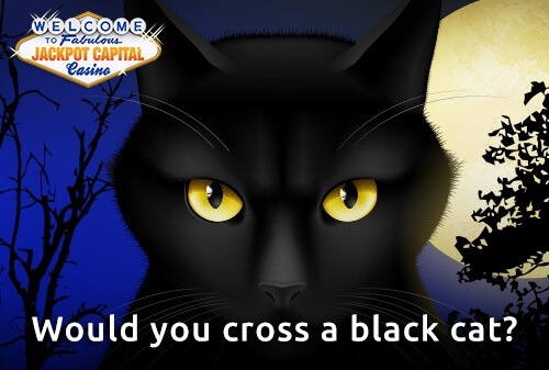 Did you know that, apart from being the month to host Halloween, October is also the Black Cat Awareness month? Join us on the blog, find out more & start spinning!  