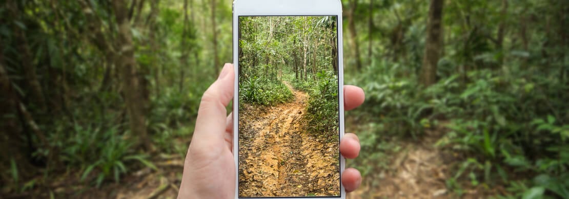 phone reflecting the forest trail behind it