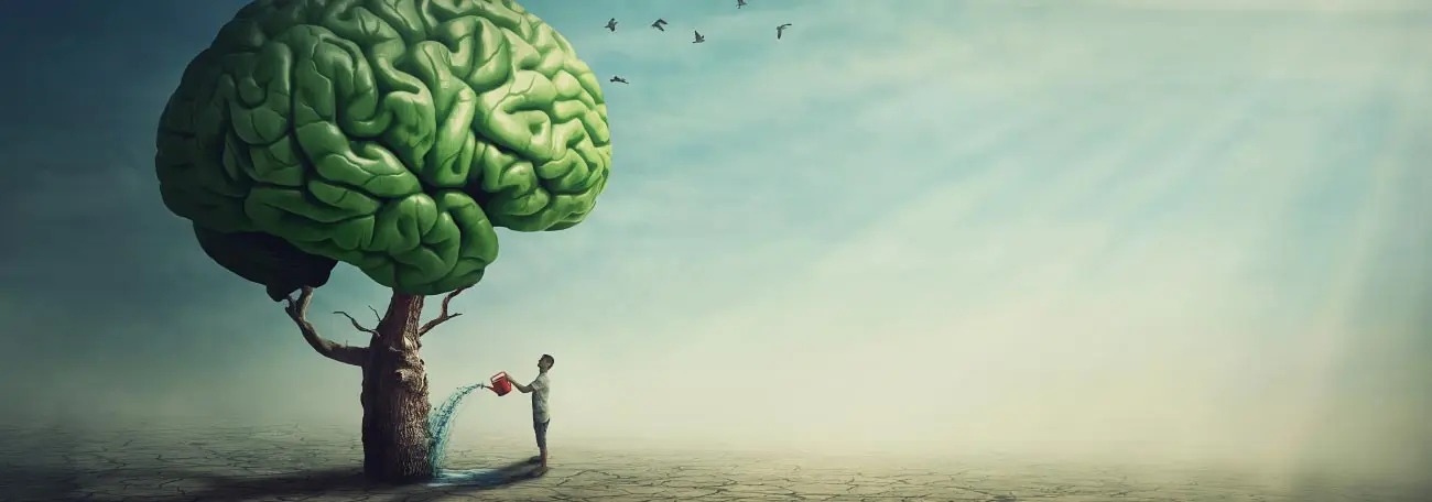 a tree that grows a brain insted of branches and leaves set against a desolate environment