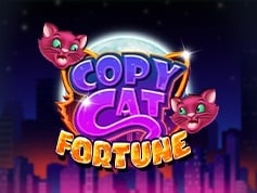 Copy Cat Fortune Online Slot Game Screen