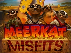 Meerkat Misfits