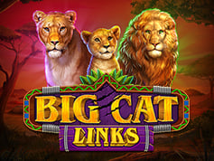 Big Cat Links Online Slot Game Screen