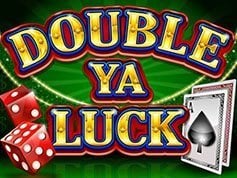 Double Ya Luck Online Slot Game Screen