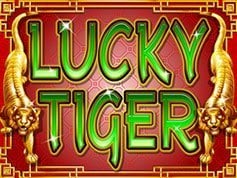 Lucky Tiger Online Slot Game Screen