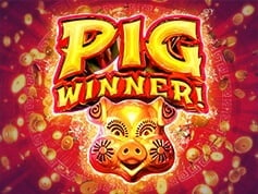 Pig Winner Online Slot Game Screen