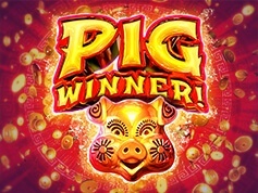 Pig Winner