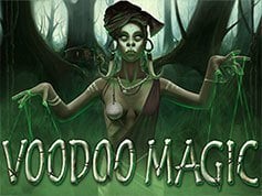 Vodoo Magic Online Slot Game Screen