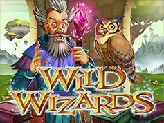 Wild Wizards Online Slot Game Screen