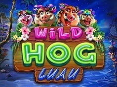 Wild Hog Luau Online Slot Game Screen