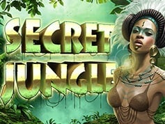 Secret Jungle Online Slot Game Screen