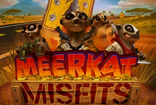 Play to Win with cute Meerkats