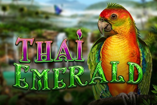 Play to Win in white letters on a purple background and gold coins with dollar signs floating around