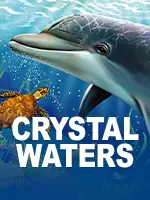Crystal Waters